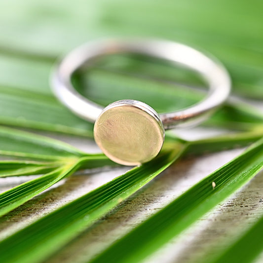 Bicolor Silberring "Ayelet" mit Gold 333